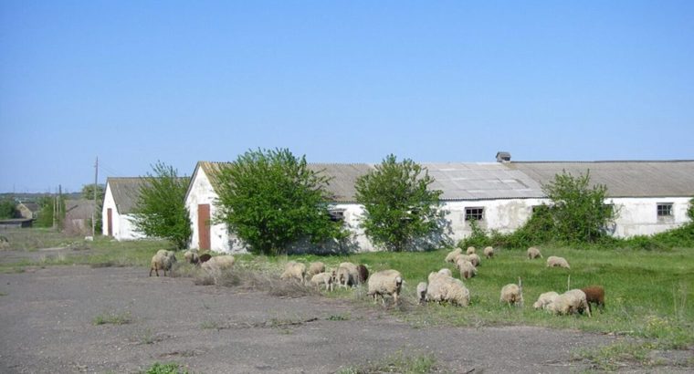 Продам ферму, животноводческий комплекс