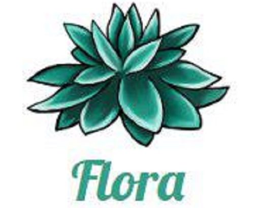 Студия массажа «Flora»