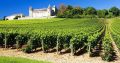 Работа на виноградники Франции