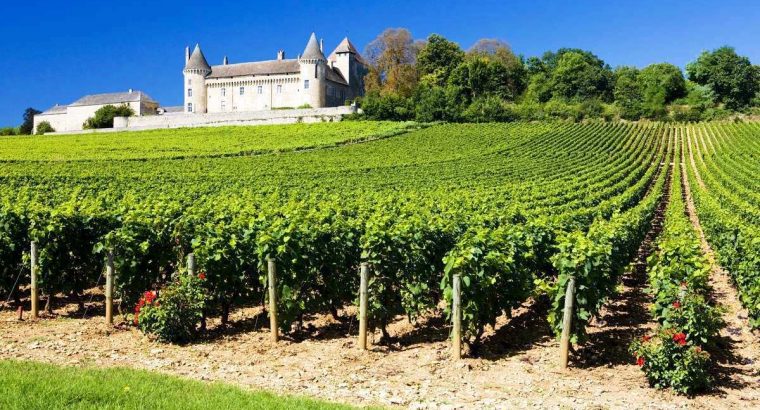 Работа на виноградники Франции