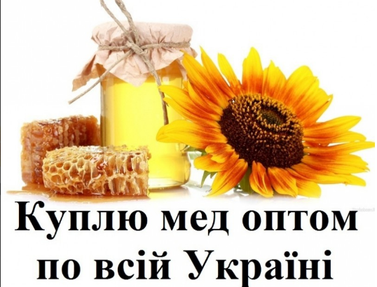 Куплю мед, закупка меду оптом,вся Україна!