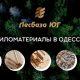 Пиломатериалы оптом и розницу в Одессе: доски, дрова, брус, рейки