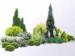 Ландшафтний дизайн, догляд за садом