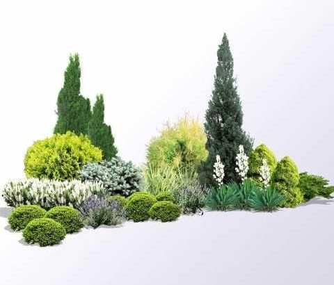 Ландшафтний дизайн, догляд за садом
