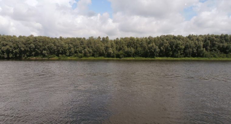Участок 25 соток под застройку с. Зазимье в 50 метрах от речки Десна и 10 км от Киева