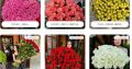 N&L FLOWER SHOP: Доставка квітів по Києву, Херсону та Миколаєву