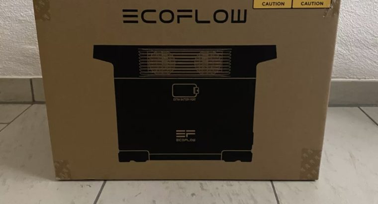 EcoFlow Delta 2 {1024 Wh}