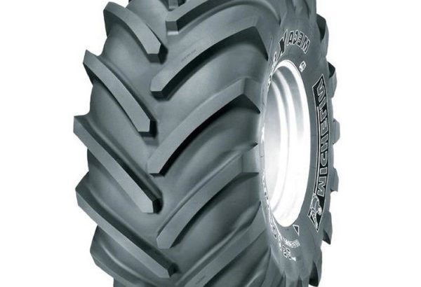 Шина 600/65R38 PERFORMER 65 FIRESTONE153D150E