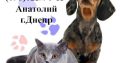 Вызов ветеринара на дом Днепр Виклик ветеринара додому Днiпро
