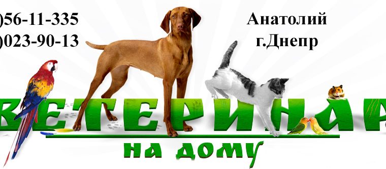 Вызов ветеринара на дом Днепр Виклик ветеринара додому Днiпро