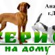 Вызов ветеринара на дом Днепр Виклик ветеринара додому Днiпро