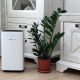 Осушувач повітря Maxton MX-12 Smart – Wi-Fi управління, іонізація та ефективне