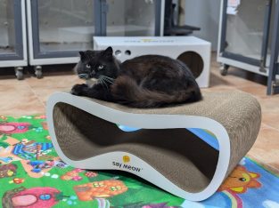 Перетримка для котиків. Готель для котиків.