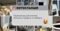 Перетримка для котиків. Готель для котиків.