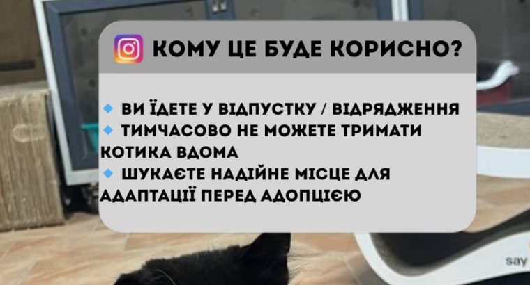 Перетримка для котиків. Готель для котиків.