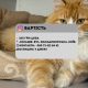 Перетримка для котиків. Готель для котиків.