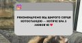 Перетримка для котиків. Готель для котиків.