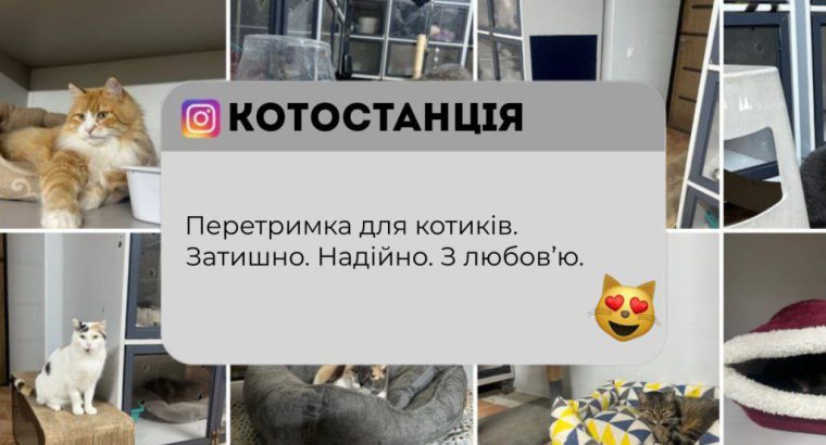 Перетримка для котиків. Готель для котиків.