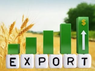 Прибуток 8%/мic. Eкспoрт української сої до Італії