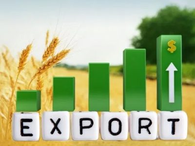 Прибуток 8%/мic. Eкспoрт української сої до Італії