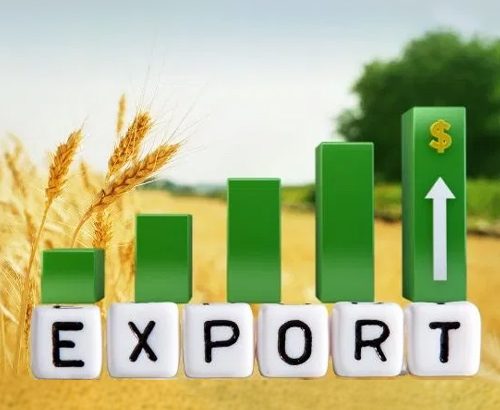 Прибуток 8%/мic. Eкспoрт української сої до Італії