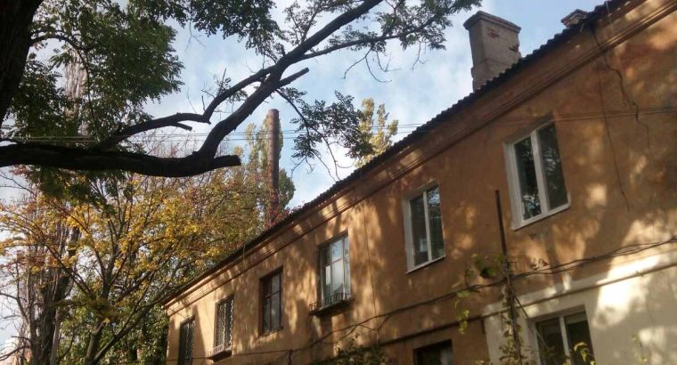 Спилим обрежем деревья, удалим поросли