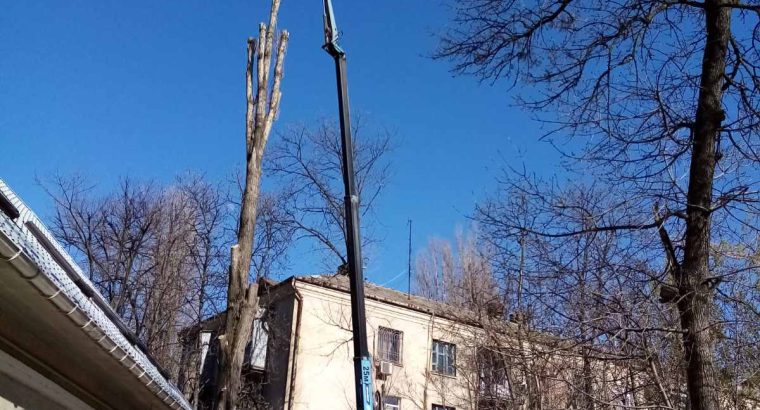 Спилим обрежем деревья, удалим поросли