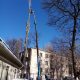 Спилим обрежем деревья, удалим поросли