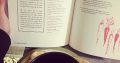 Кулинарная книга Средиземья: «Рецепты из мира Толкина»