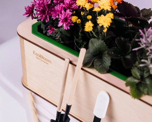 EcoBloom Smart Garden Розумний сад вдома