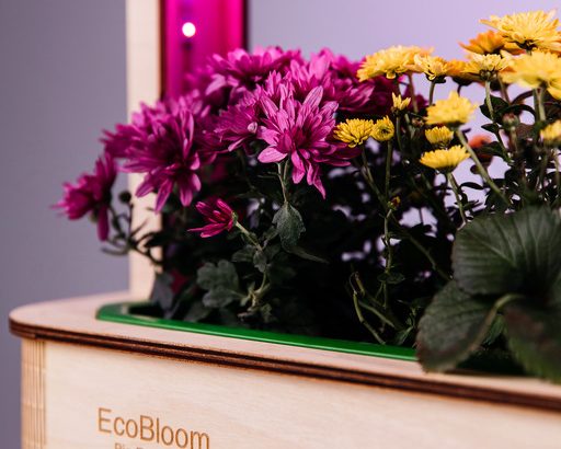EcoBloom Smart Garden Розумний сад вдома