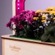 EcoBloom Smart Garden Розумний сад вдома