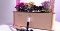 EcoBloom Smart Garden Розумний сад вдома
