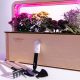 EcoBloom Smart Garden Розумний сад вдома