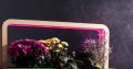 EcoBloom Smart Garden Розумний сад вдома