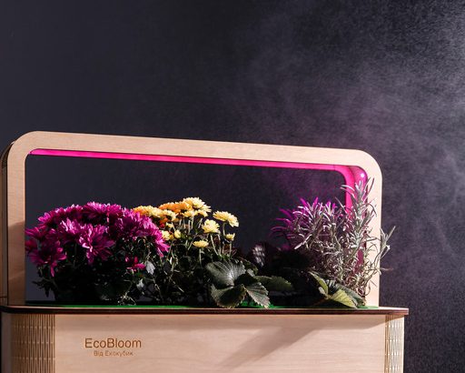 EcoBloom Smart Garden Розумний сад вдома