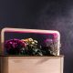 EcoBloom Smart Garden Розумний сад вдома