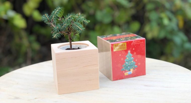 Подарунки на Миколая. Новорічні набори. DIY набори