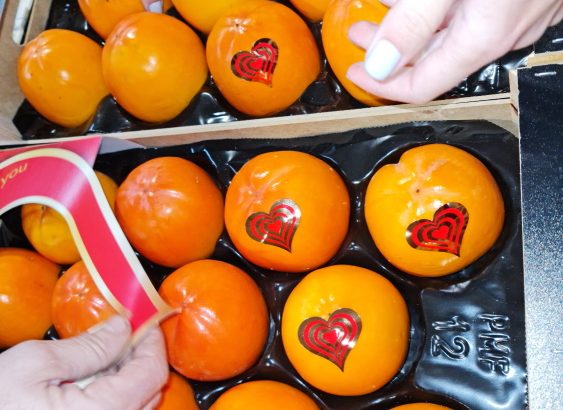 Продаем хурму