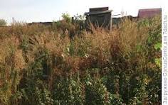 Работы по участку