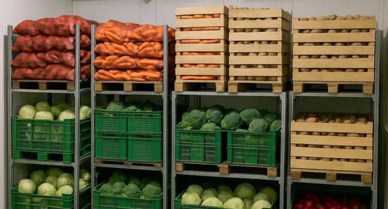 Універсальна холодильна камера для продуктів -10С+10С, морозилка