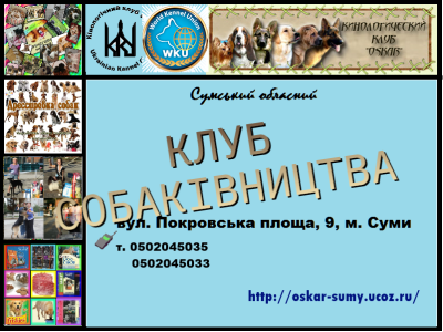 Запрошуємо в клуб собаківництва