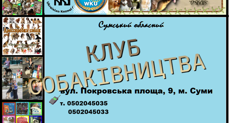 Запрошуємо в клуб собаківництва