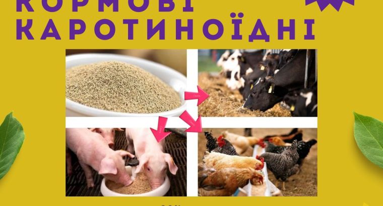 Кормові дріжджі – білково-вітамінна добавка від виробника по Україні та на експорт.