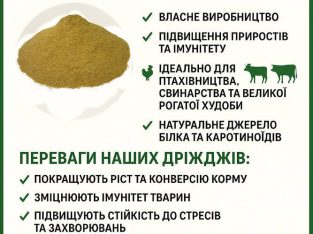 Кормові дріжджі – білково-вітамінна добавка від виробника по Україні та на експорт.