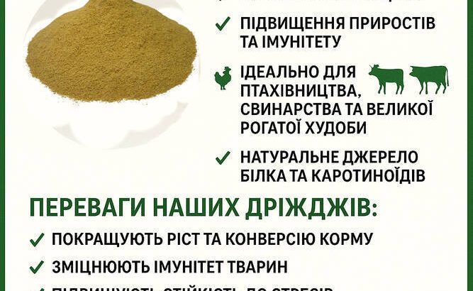 Кормові дріжджі – білково-вітамінна добавка від виробника по Україні та на експорт.