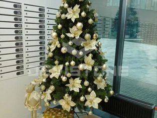 Оренда 1к квартири ЖК Діброва