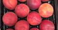 Продаем персики, нектарины, абрикосы